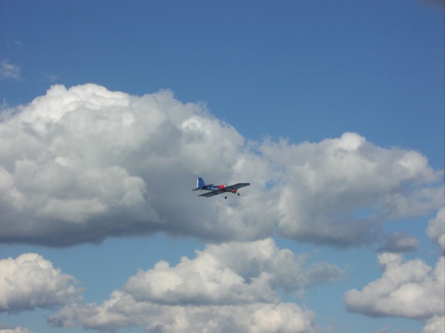 P1010037.JPG