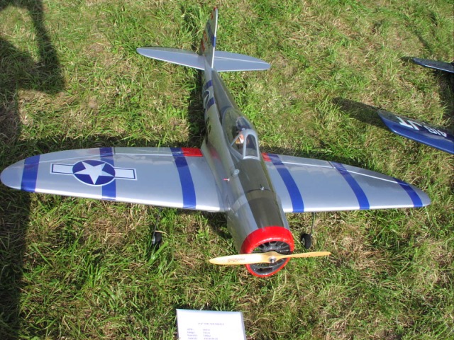 P1010057.JPG