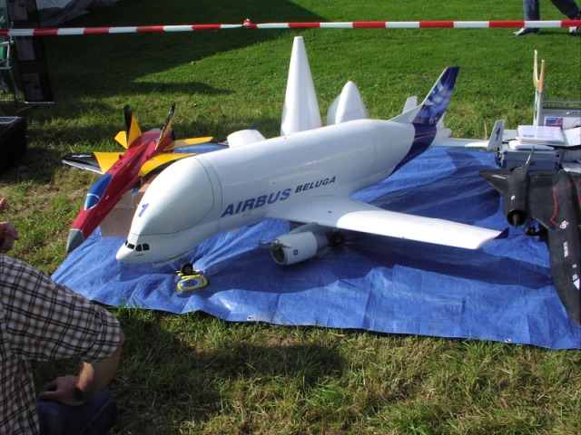 P1010061.JPG
