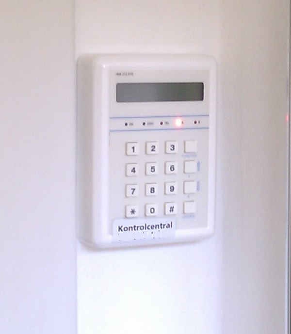 Fake sales alarm system