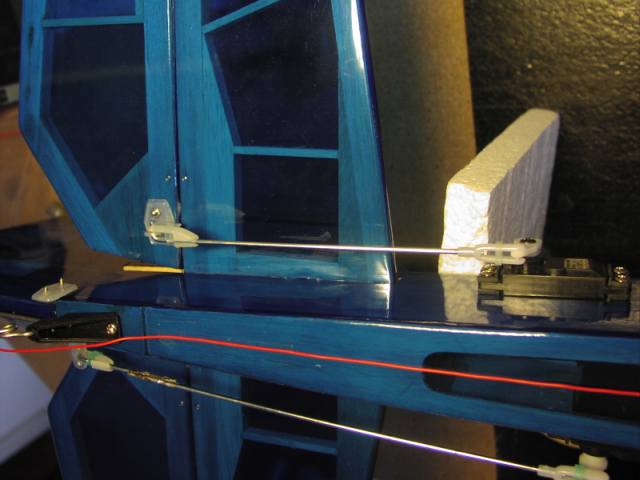 P1010019.JPG