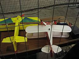 P1010070.JPG