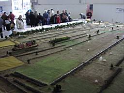 P1010091.JPG