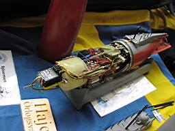 P1010107.JPG