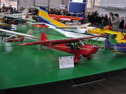 P1010181.JPG
