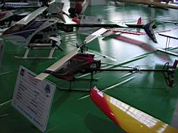 P1010234.JPG